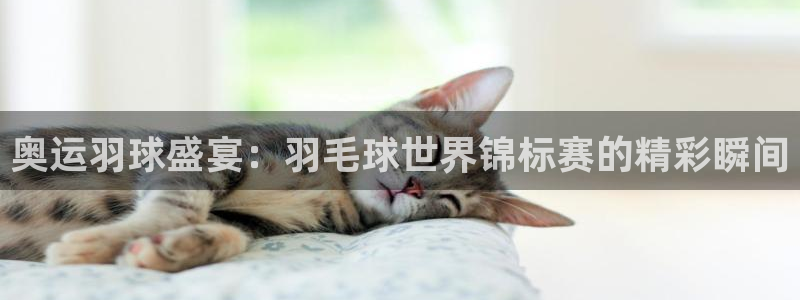 奥运羽球盛宴：羽毛球世界锦标赛的精彩瞬间