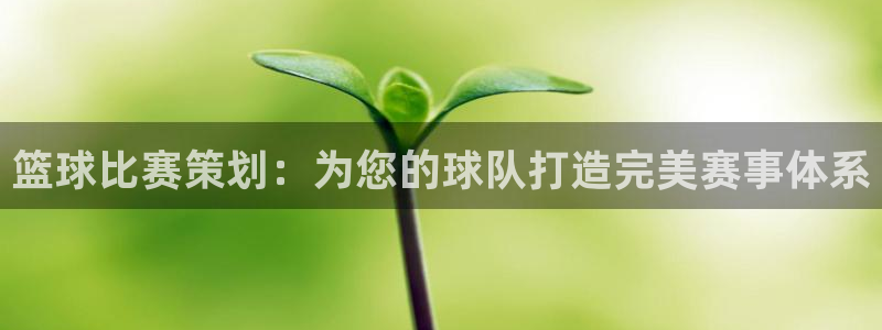 篮球比赛策划：为您的球队打造完美赛事体系