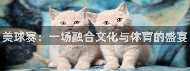 美球赛：一场融合文化与体育的盛宴