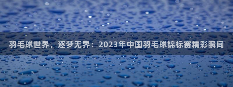 羽毛球世界，逐梦无界：2023年中国羽毛球锦标赛精彩瞬间