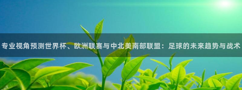 熊猫体育视频在线观看