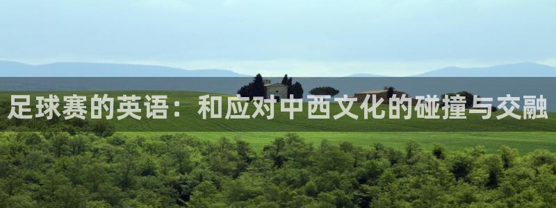 熊猫体育app官方入口