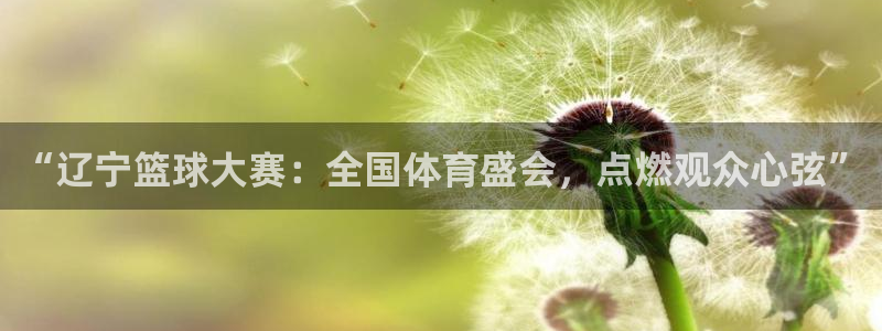 哪个平台有熊猫体育直播：“辽宁篮球大赛：全国体育盛会，点燃观
