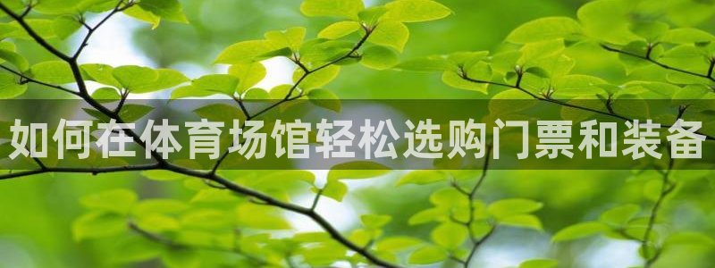 熊猫体育官方下载：如何在体育场馆轻松选购门票和装备