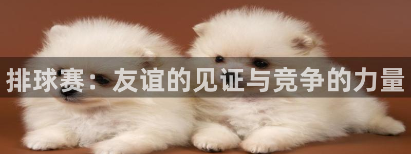 熊猫体育ios版叫什么软件：排球赛：友谊的见证与竞争的力量